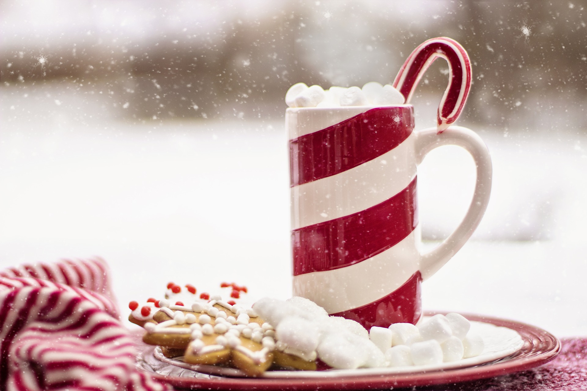 Candy Cane Themed Christmas Party inspiration