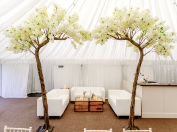 Blossom Archway in event venue