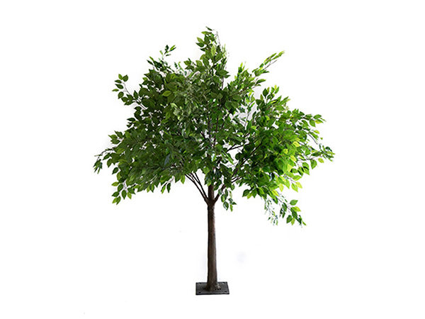 Ficus Enchanted Tree Prop hire